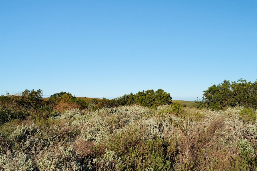 0 Bedroom Property for Sale in Fernwood Estate Western Cape